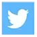 twitter logo icon