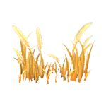 thicket of reeds