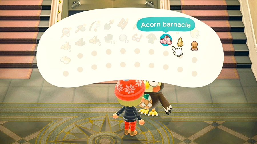 animal crossing new horizons donating acorn barnacle to blathers